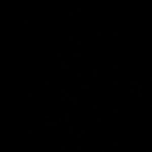 Meet your Posher, Rania